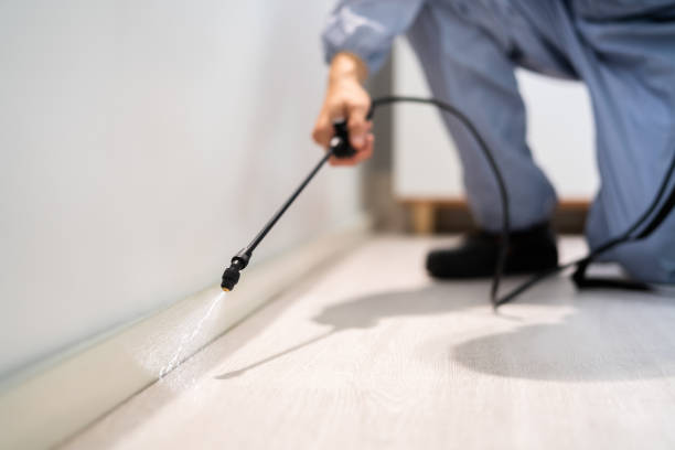 Licensed Cockroach Control service in Rincon, GA - Nex Pest Control