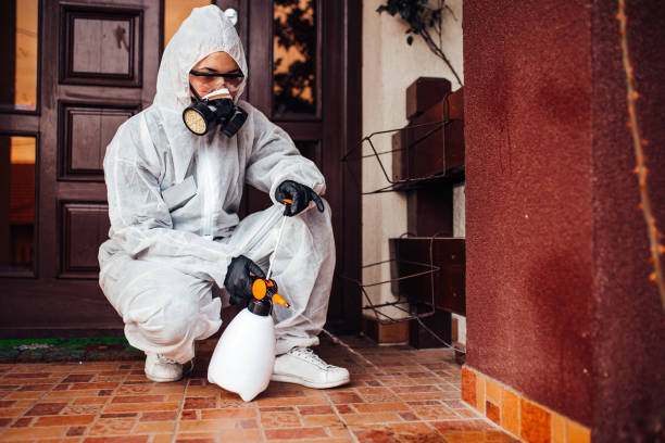 Reliable Cockroach Control contractor in Rincon, GA by Nex Pest Control